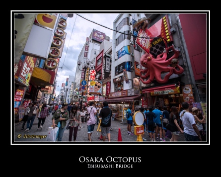 Osaka Octopus
